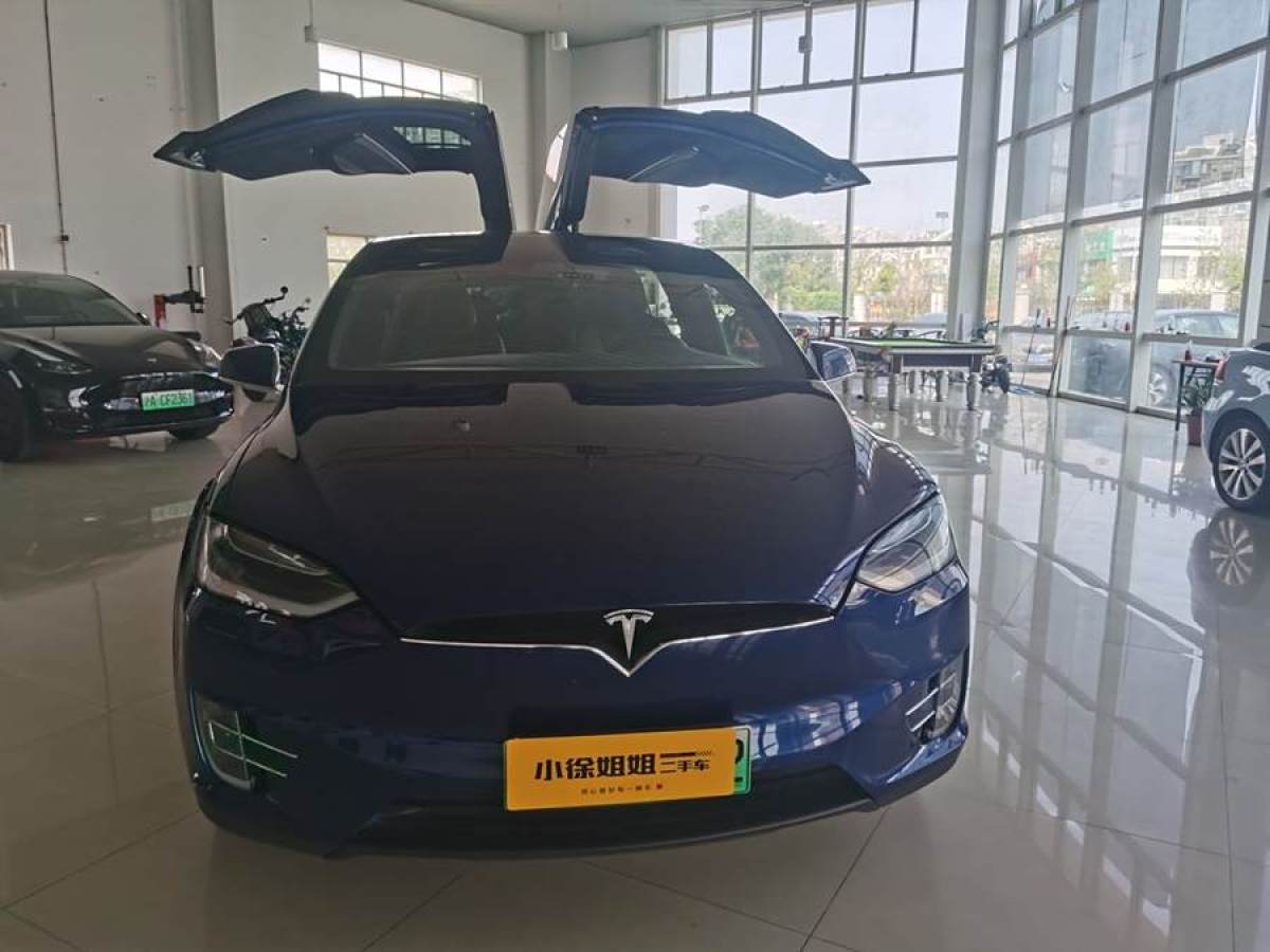 特斯拉 Model X  2017款 Model X 100D 長(zhǎng)續(xù)航版圖片