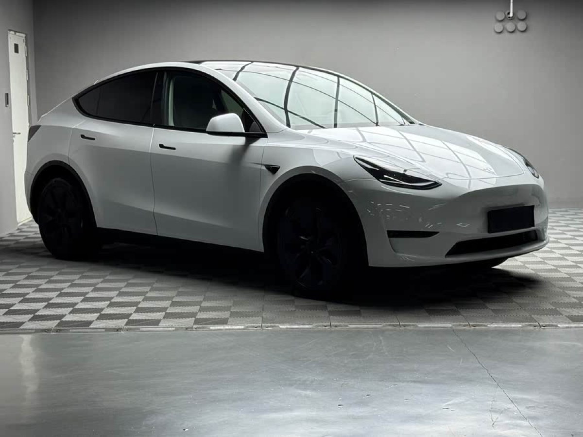 特斯拉 Model Y  2024款 長續(xù)航全輪驅(qū)動版圖片