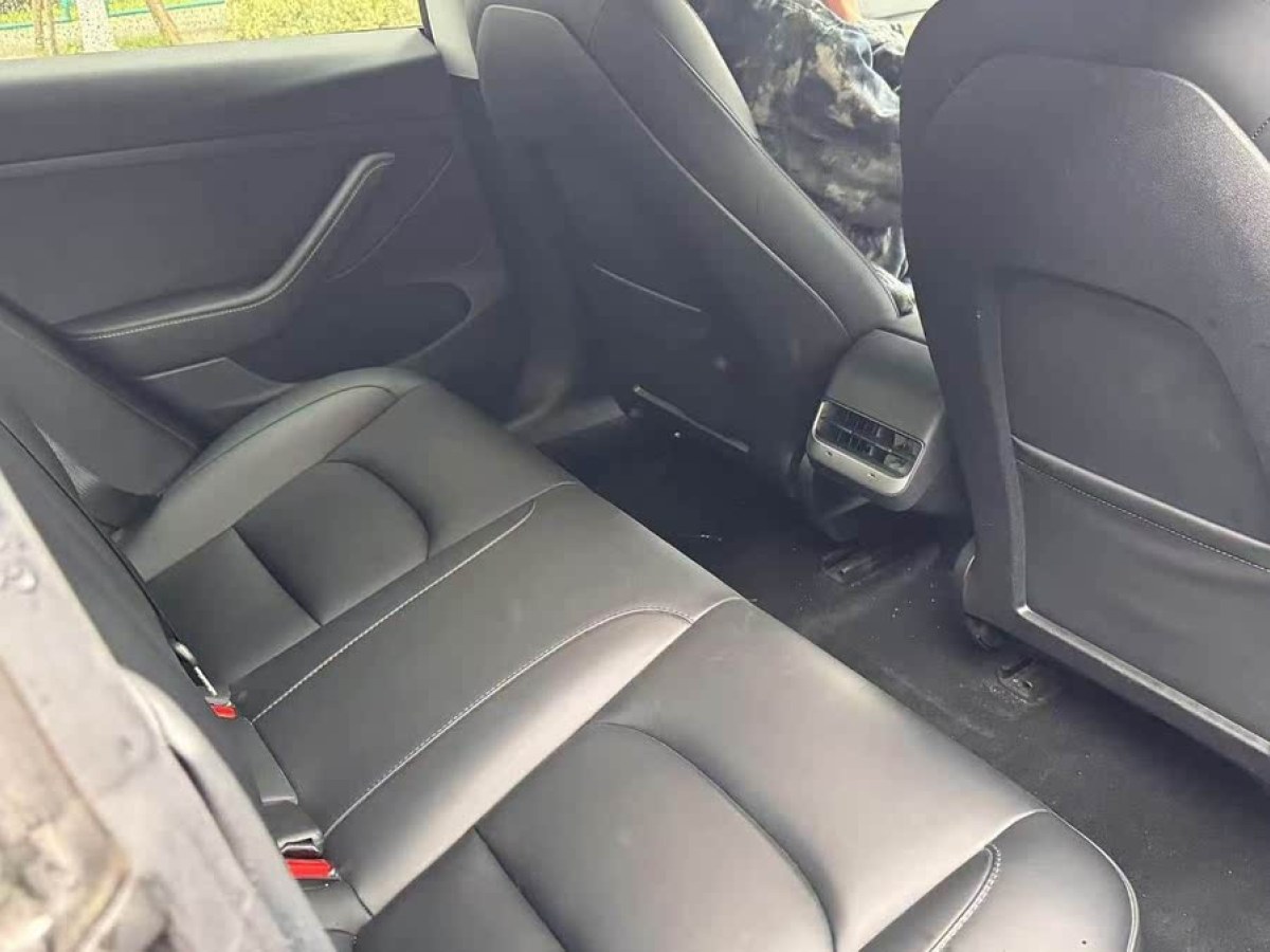 特斯拉 Model 3  2022款 后輪驅(qū)動版圖片