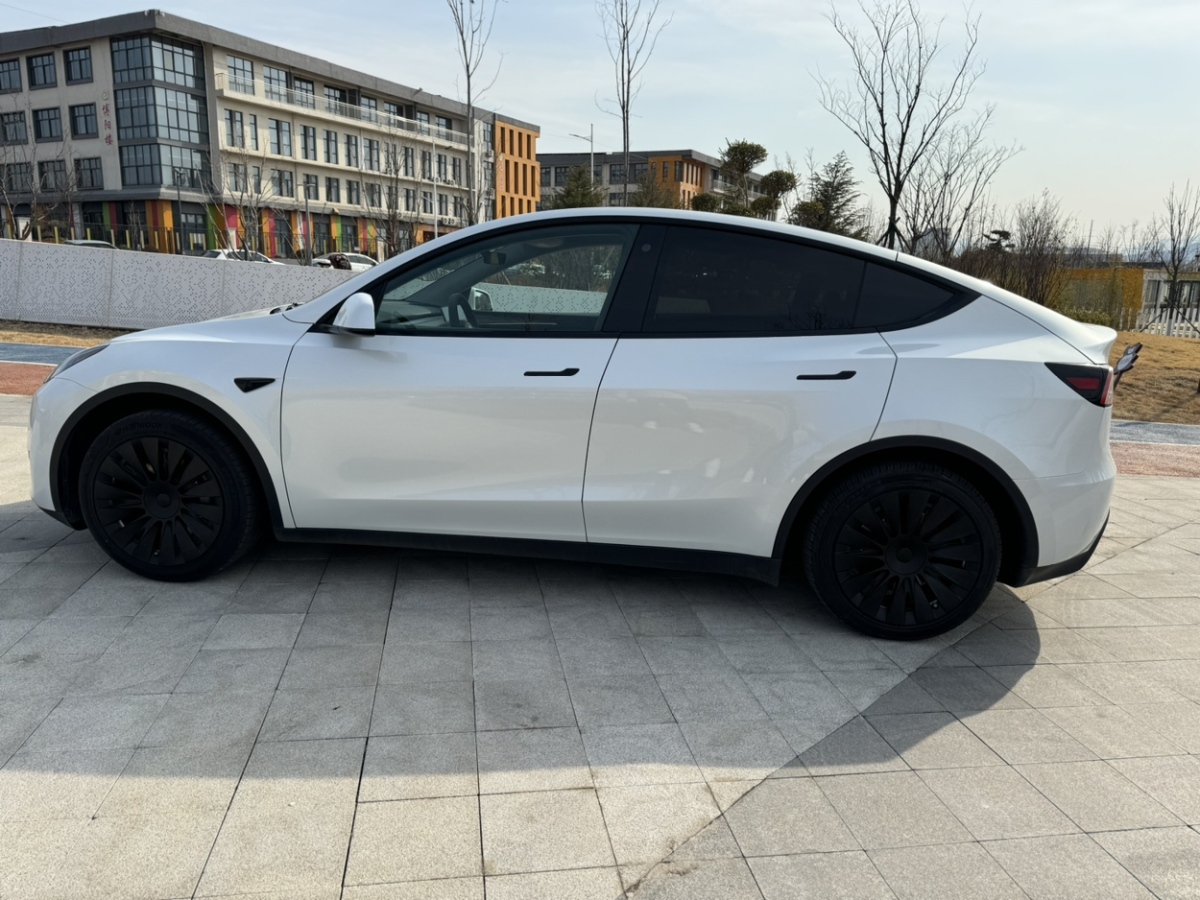 特斯拉 Model Y  2022款 后驅(qū)版圖片