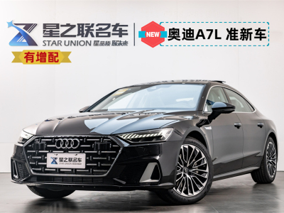 2024年8月 奧迪 奧迪A7L 45 TFSI 豪華型圖片