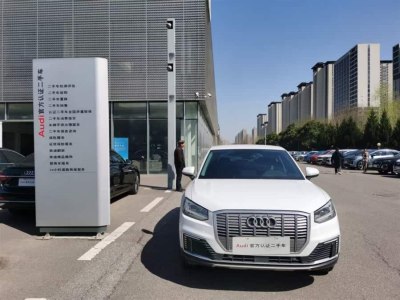 2021年1月 奧迪 Q2L e-tron e-tron 純電智酷型圖片