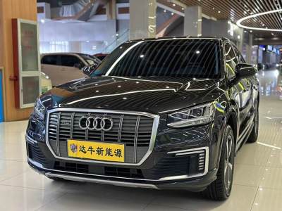 2021年3月 奥迪 Q2L e-tron e-tron 纯电智酷型图片