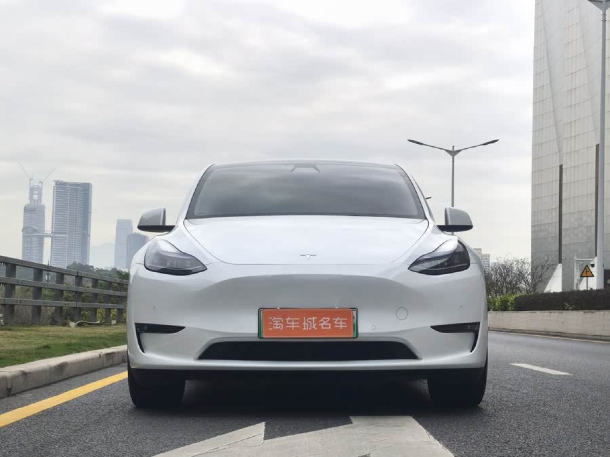 特斯拉 Model 3  2022款 Performance高性能全輪驅(qū)動版圖片