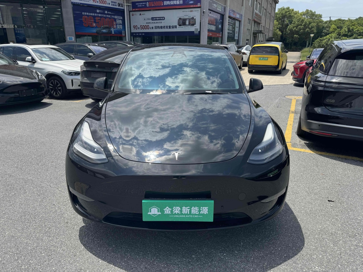 特斯拉 Model Y  2021款 標(biāo)準(zhǔn)續(xù)航后驅(qū)版圖片