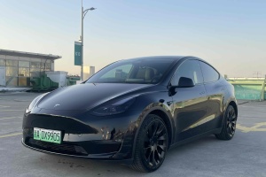 Model Y 特斯拉 改款 标准续航后驱升级版