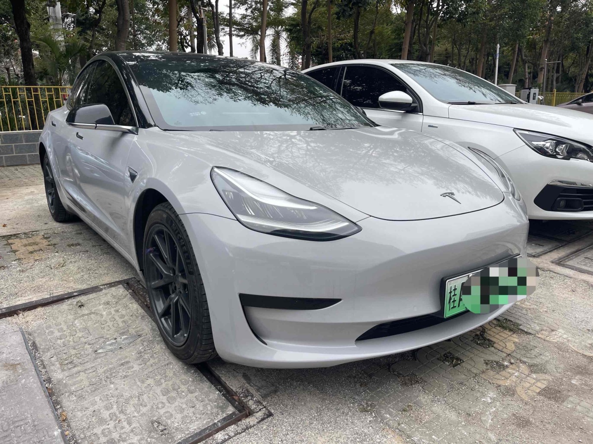 特斯拉 Model 3  2019款 標(biāo)準(zhǔn)續(xù)航后驅(qū)升級版圖片