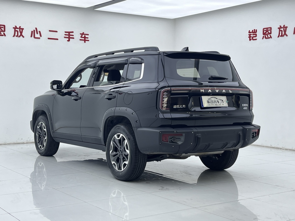 哈弗 哈弗大狗  2024款 2.0T DCT中華田園犬版圖片