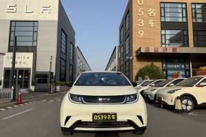 海豚 比亞迪 榮耀版 420km 自由版