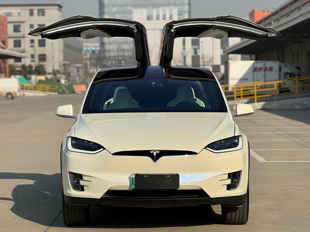 特斯拉 Model X  2017款 Model X 100D 長(zhǎng)續(xù)航版圖片