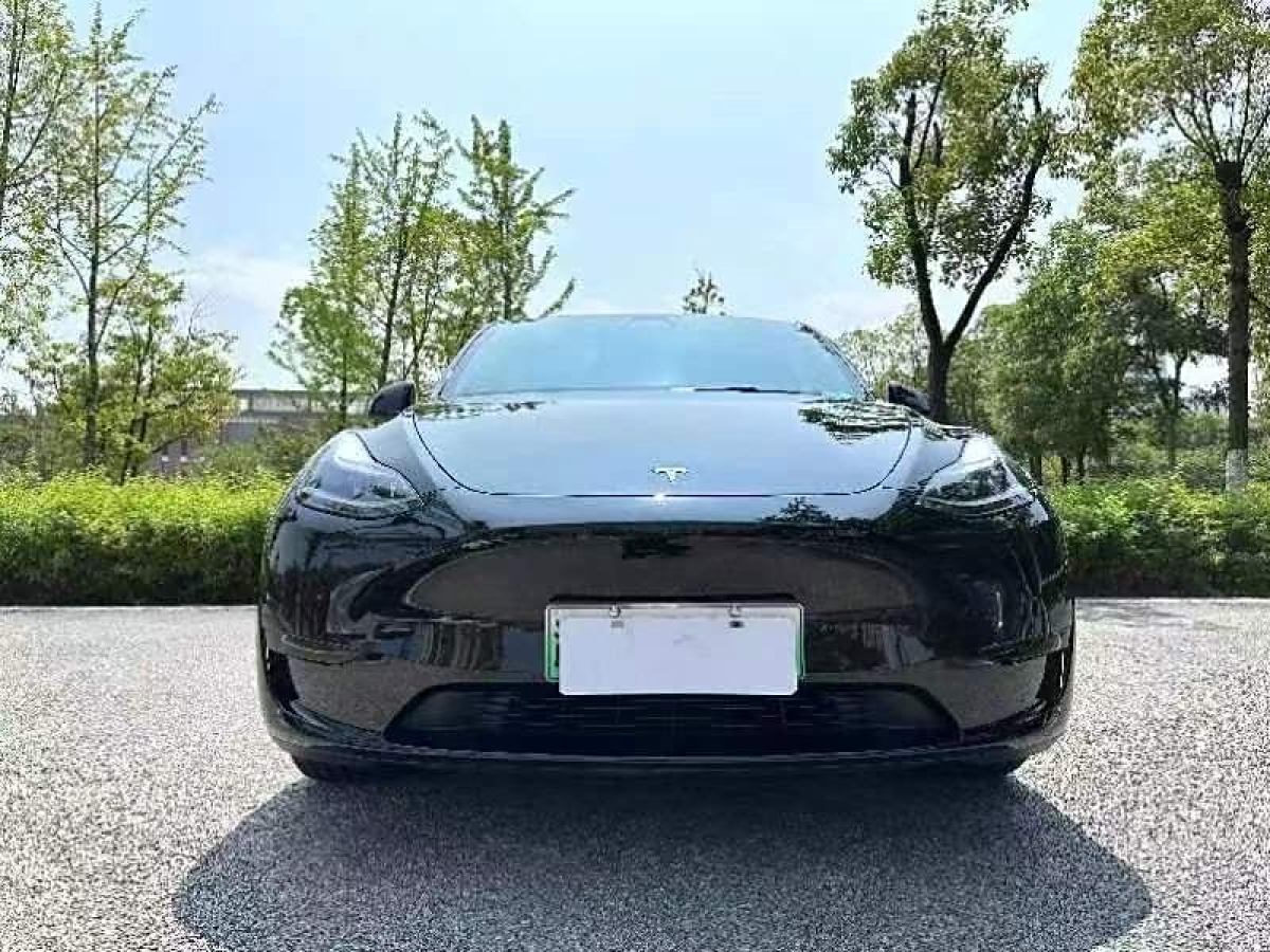 特斯拉 Model 3  2022款 后輪驅(qū)動(dòng)版圖片