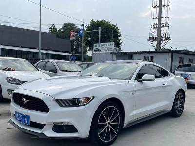 2016年3月 福特 Mustang(进口) 2.3T 性能版图片