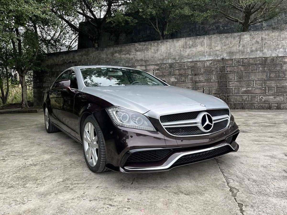 奔馳 奔馳CLS級(jí)  2012款 CLS 300 CGI圖片