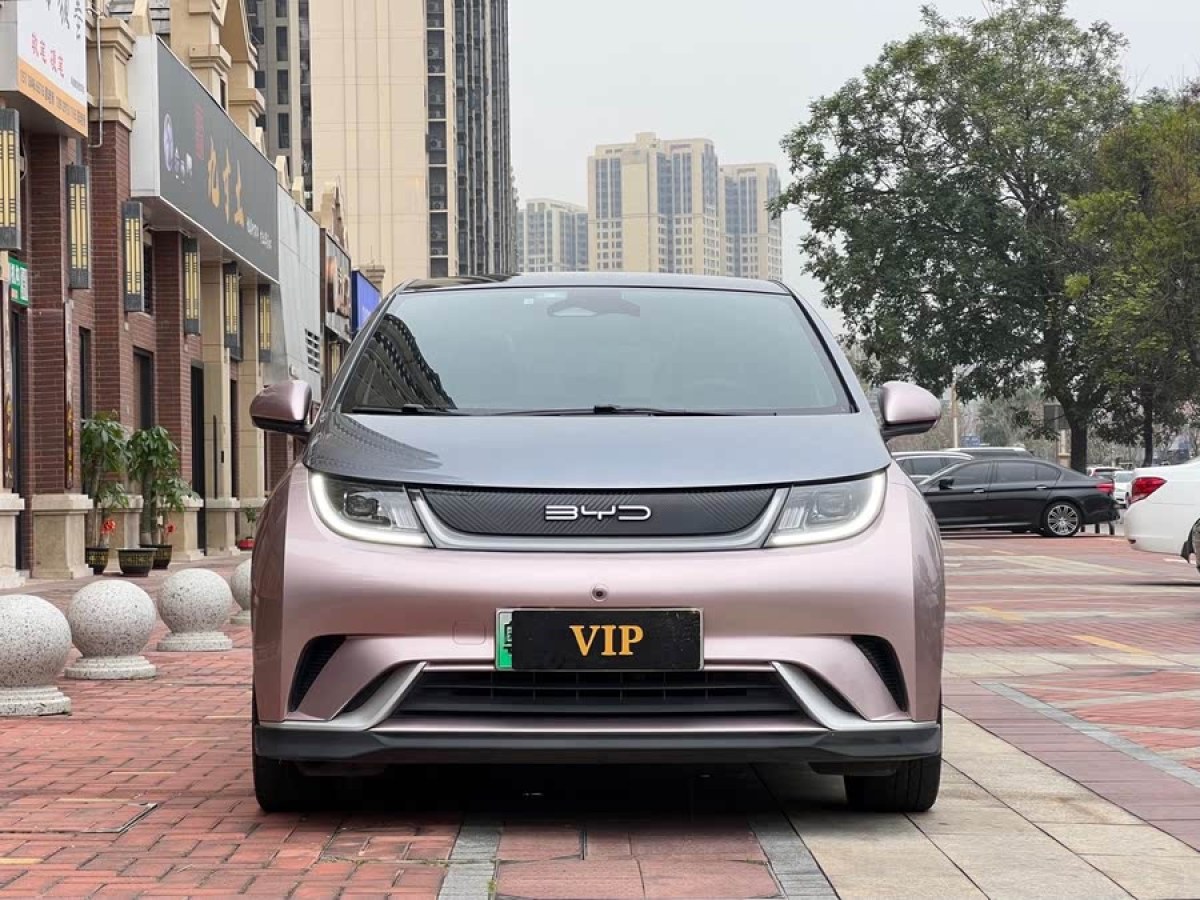 比亞迪 海豚  2021款 401km 騎士版圖片