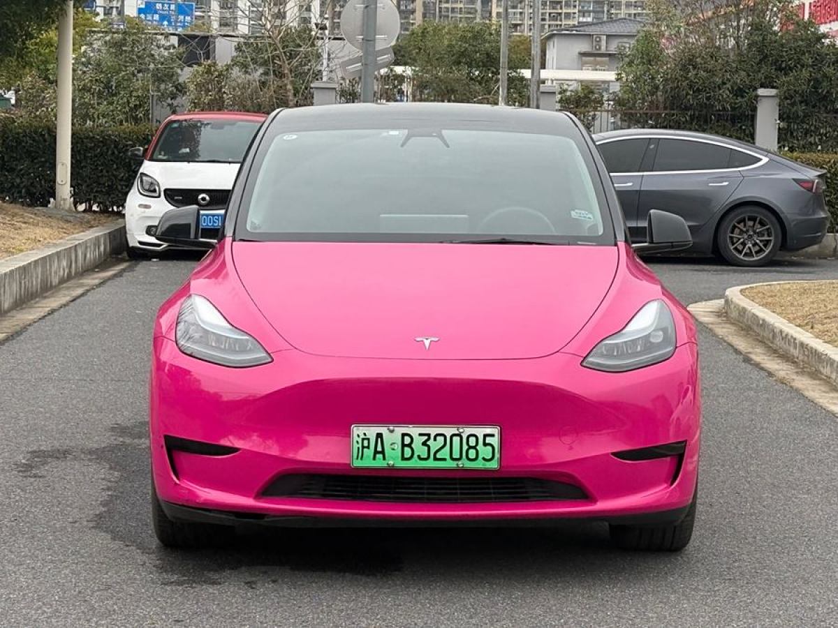 特斯拉 Model 3  2020款 改款 長續(xù)航后輪驅(qū)動(dòng)版圖片