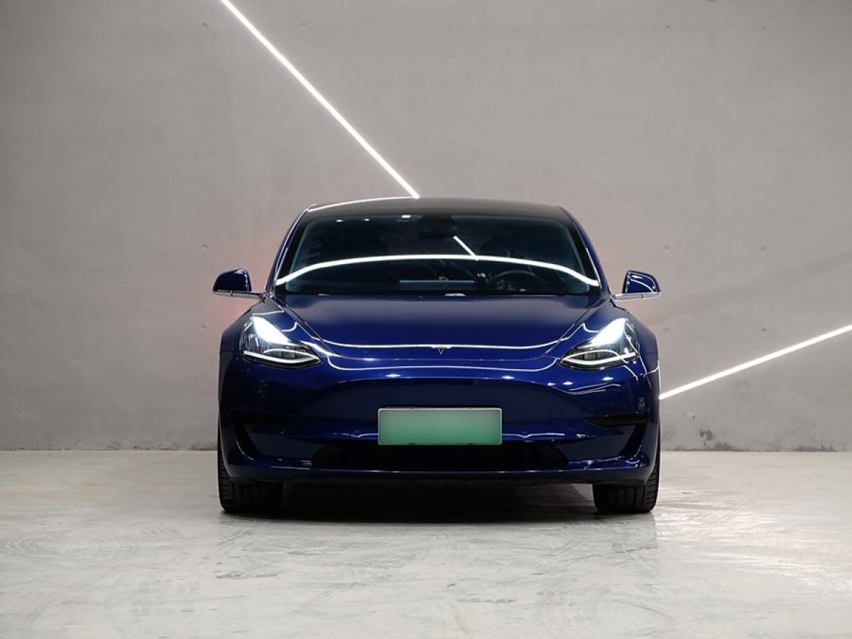 特斯拉 Model 3  2019款 標準續(xù)航后驅(qū)升級版圖片