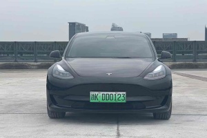Model 3 特斯拉 后輪驅(qū)動(dòng)版