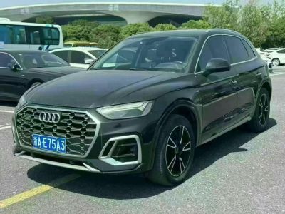 2022年6月 奧迪 奧迪Q5 e-tron 40 e-tron 星耀型 機(jī)甲套裝圖片