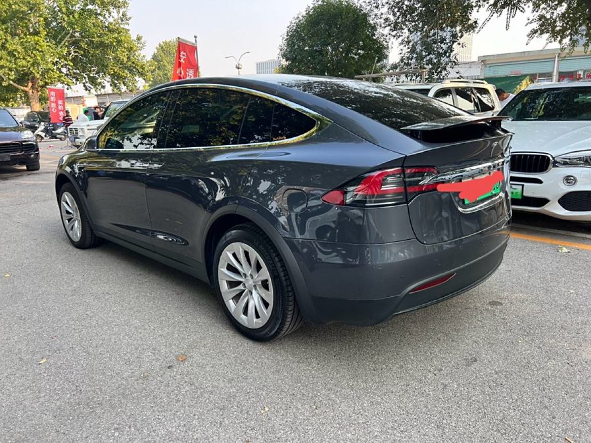 特斯拉 Model X  2019款 長續(xù)航版圖片