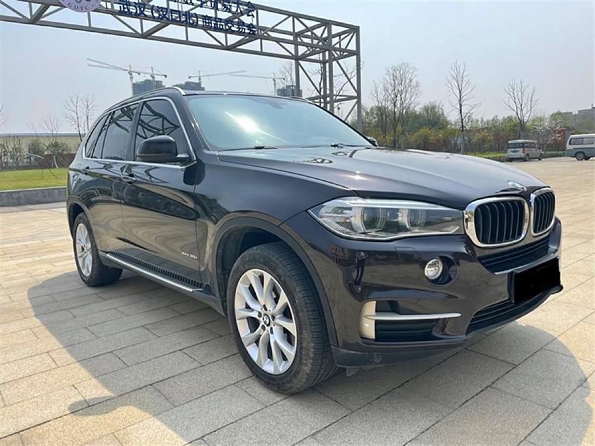 寶馬 寶馬X5  2014款 xDrive35i 領(lǐng)先型圖片