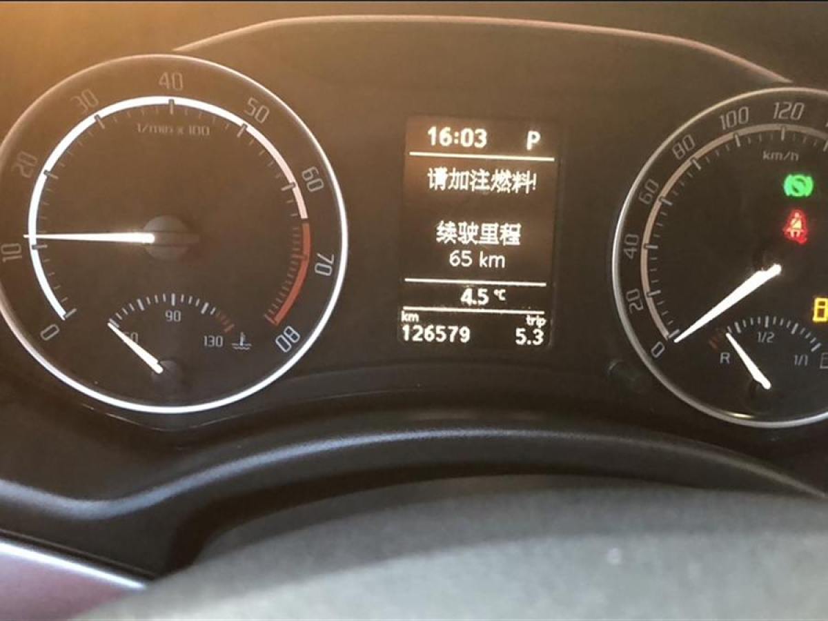 斯柯達(dá) 明銳  2010款 2.0TSI RS圖片