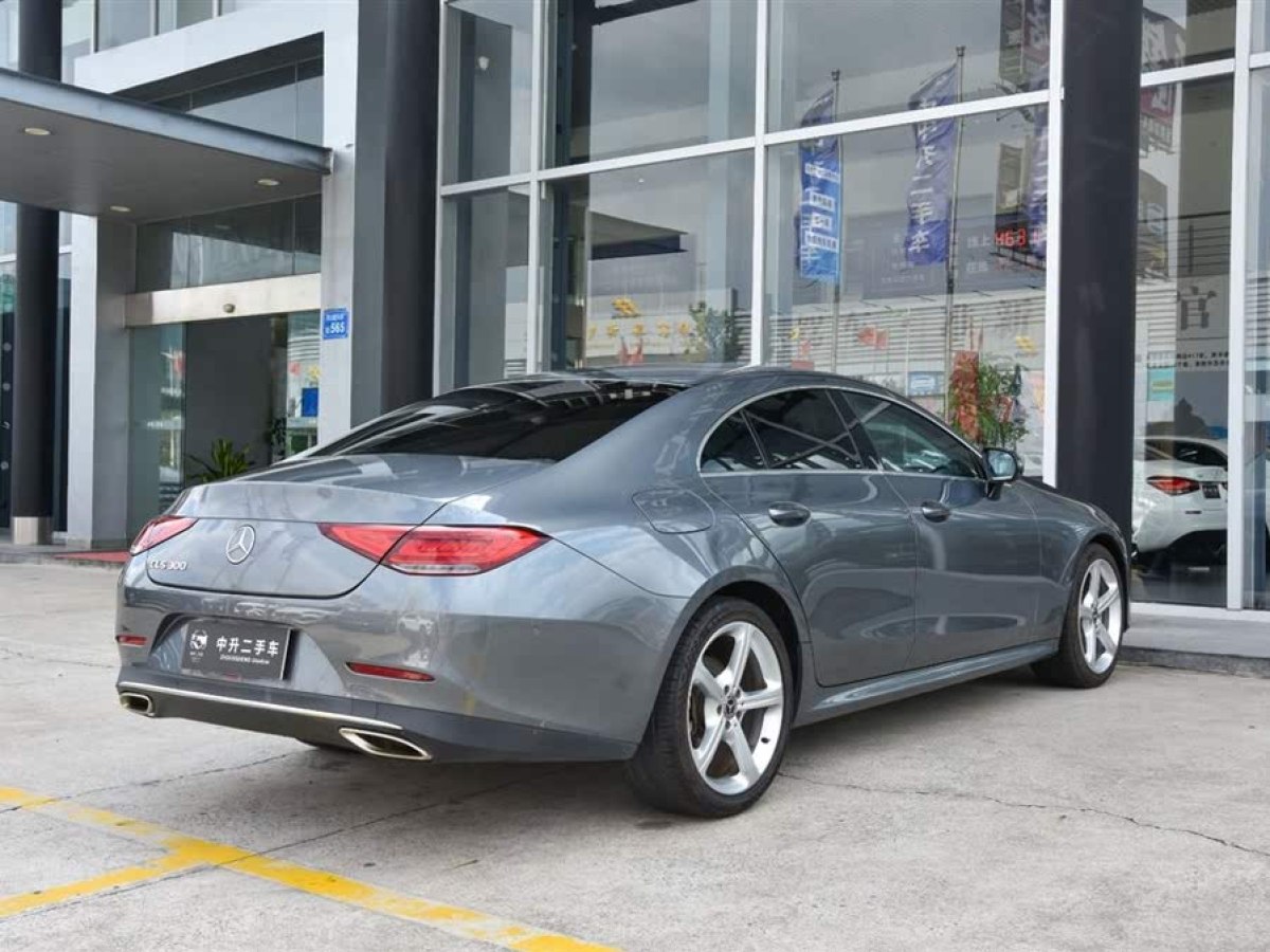 奔馳 奔馳CLS級  2018款 CLS 300 動感型圖片