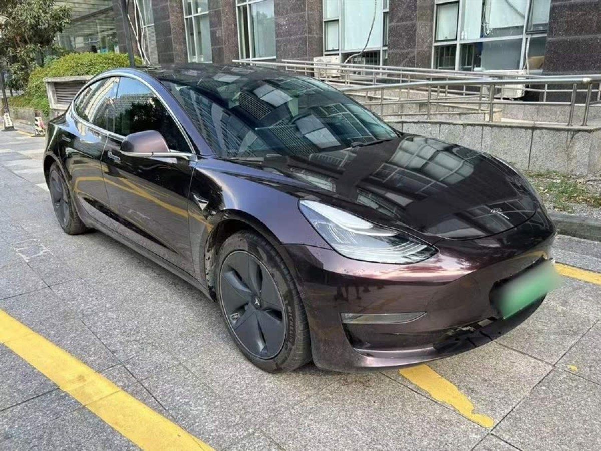 特斯拉 Model 3  2020款 改款 長續(xù)航后輪驅(qū)動版圖片