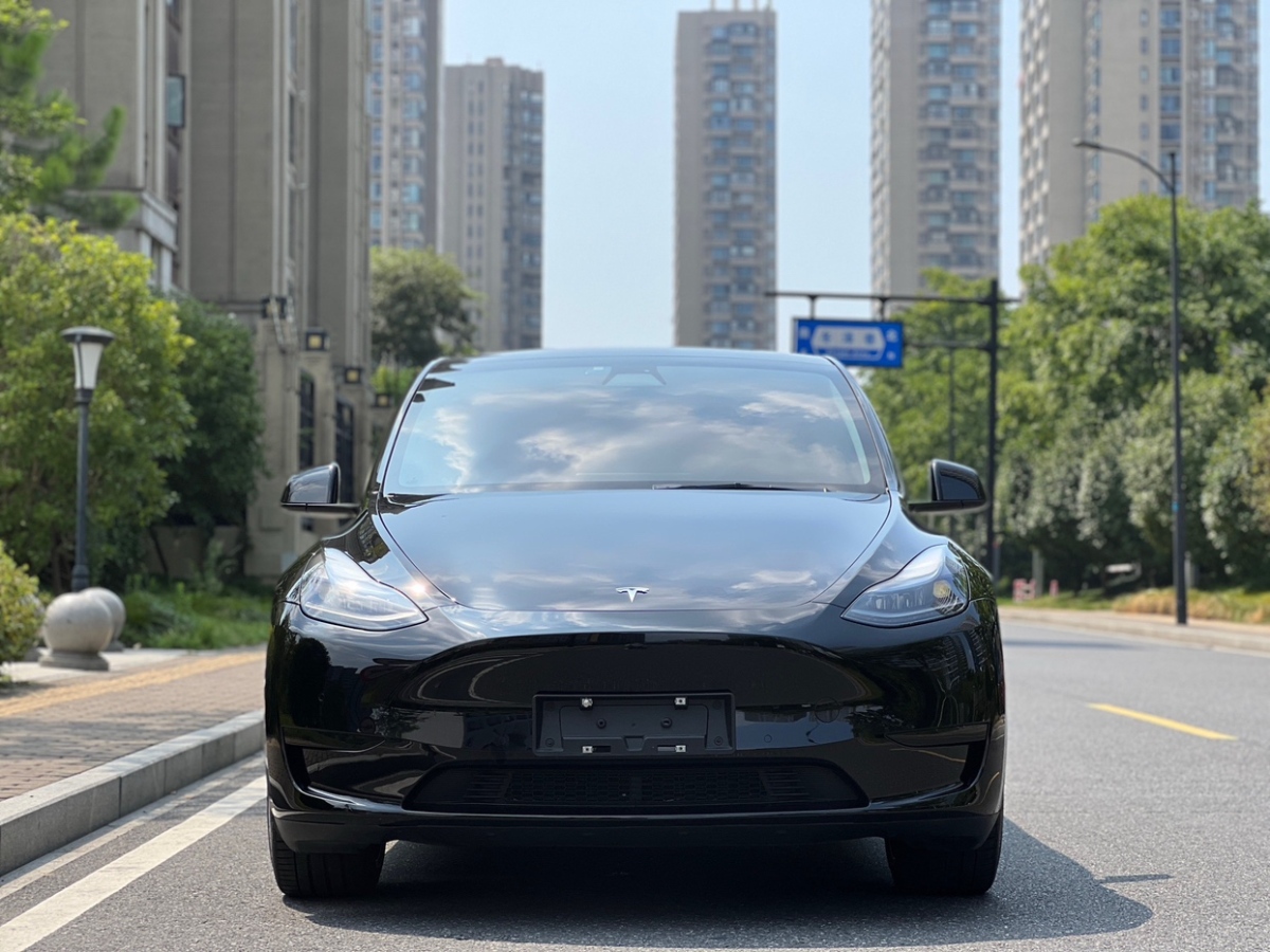 特斯拉 Model Y  2021款 改款 標(biāo)準(zhǔn)續(xù)航后驅(qū)升級版圖片