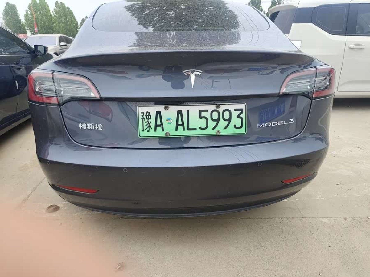 特斯拉 Model 3  2020款 改款 標(biāo)準(zhǔn)續(xù)航后驅(qū)升級(jí)版圖片