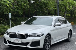 寶馬5系 寶馬 530Li 領(lǐng)先型 M運動套裝