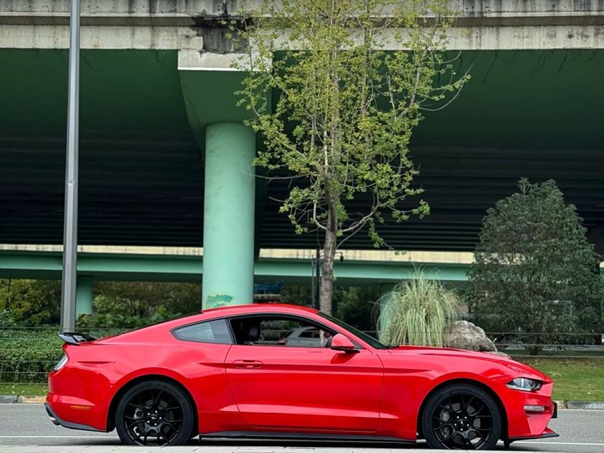 福特 Mustang  2019款 2.3L EcoBoost圖片