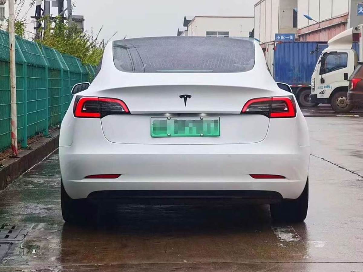 特斯拉 Model 3  2019款 標(biāo)準(zhǔn)續(xù)航后驅(qū)升級(jí)版圖片