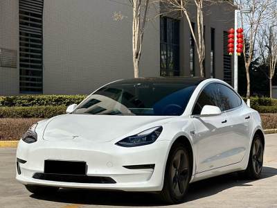 2020年11月 特斯拉 Model 3 改款 長續(xù)航后輪驅(qū)動版圖片