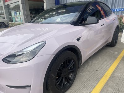 2021年6月 特斯拉 Model Y 長續(xù)航全輪驅(qū)動版 3D7圖片