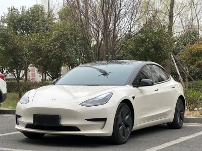 2021年09月 特斯拉 Model 3 標(biāo)準(zhǔn)續(xù)航后驅(qū)升級版 3D6圖片