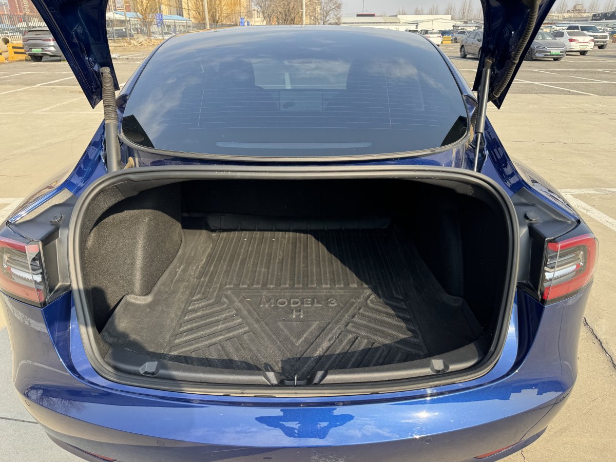 特斯拉 Model 3  2019款 標(biāo)準(zhǔn)續(xù)航后驅(qū)升級(jí)版圖片