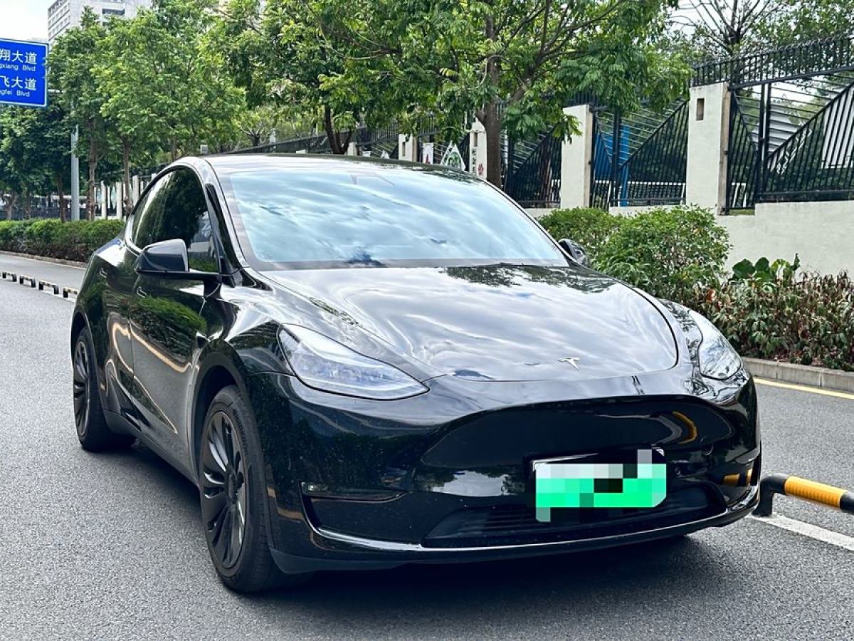 特斯拉 Model 3  2021款 改款 標準續(xù)航后驅(qū)升級版圖片