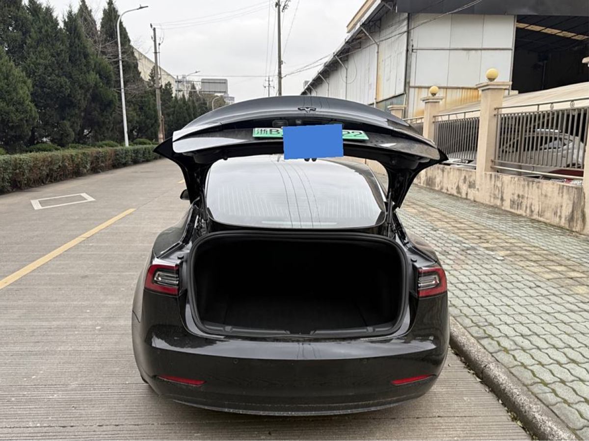 2020年7月特斯拉 Model 3  2020款 改款 標(biāo)準(zhǔn)續(xù)航后驅(qū)升級(jí)版