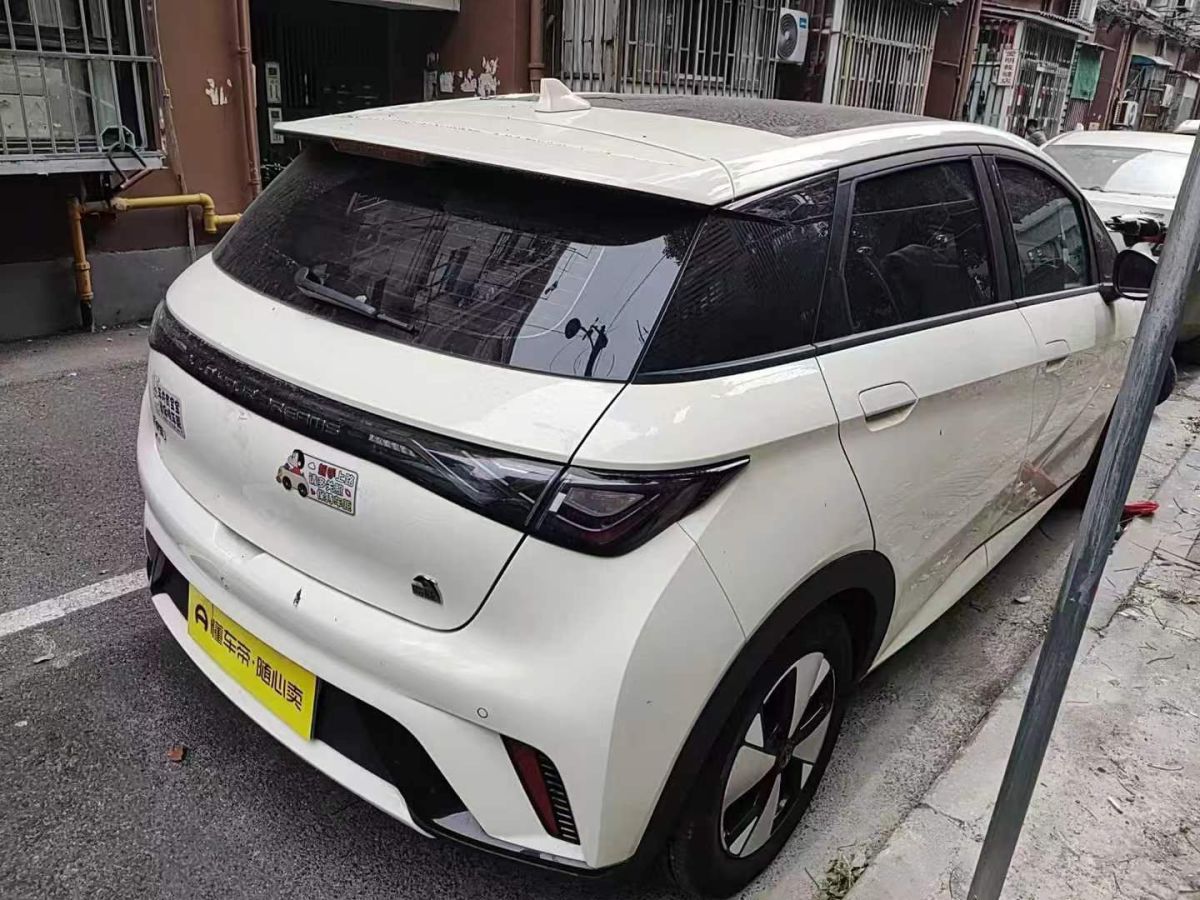 比亞迪 海豚  2023款 401km 騎士版圖片