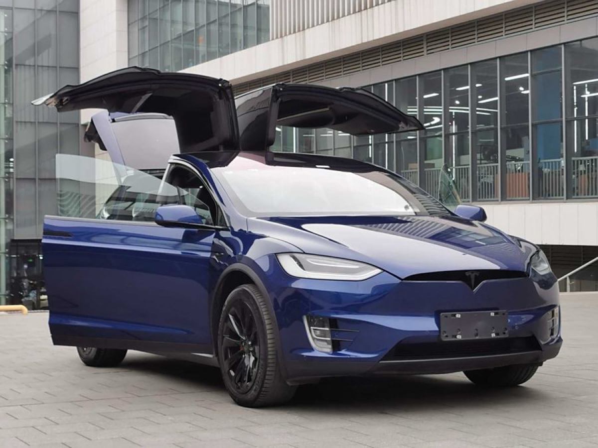 特斯拉 Model X  2020款 長(zhǎng)續(xù)航升級(jí)版圖片