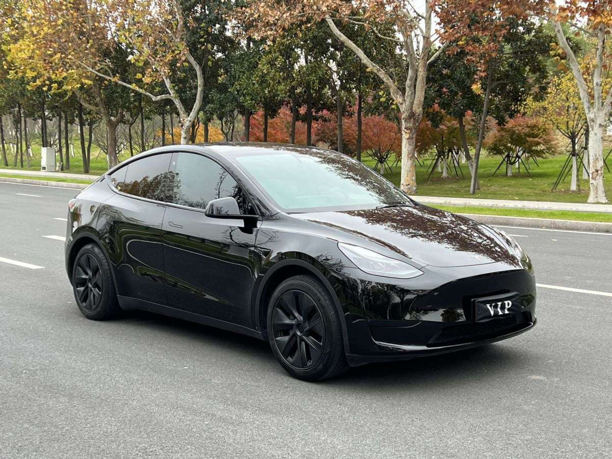 特斯拉 Model Y  2022款 后驅(qū)版圖片