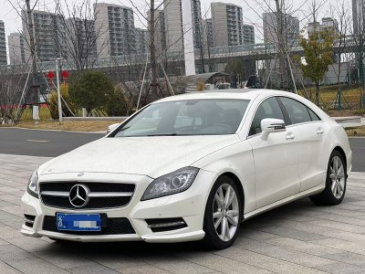 2015年3月 奔馳 奔馳CLS級(進(jìn)口) CLS 300 CGI圖片