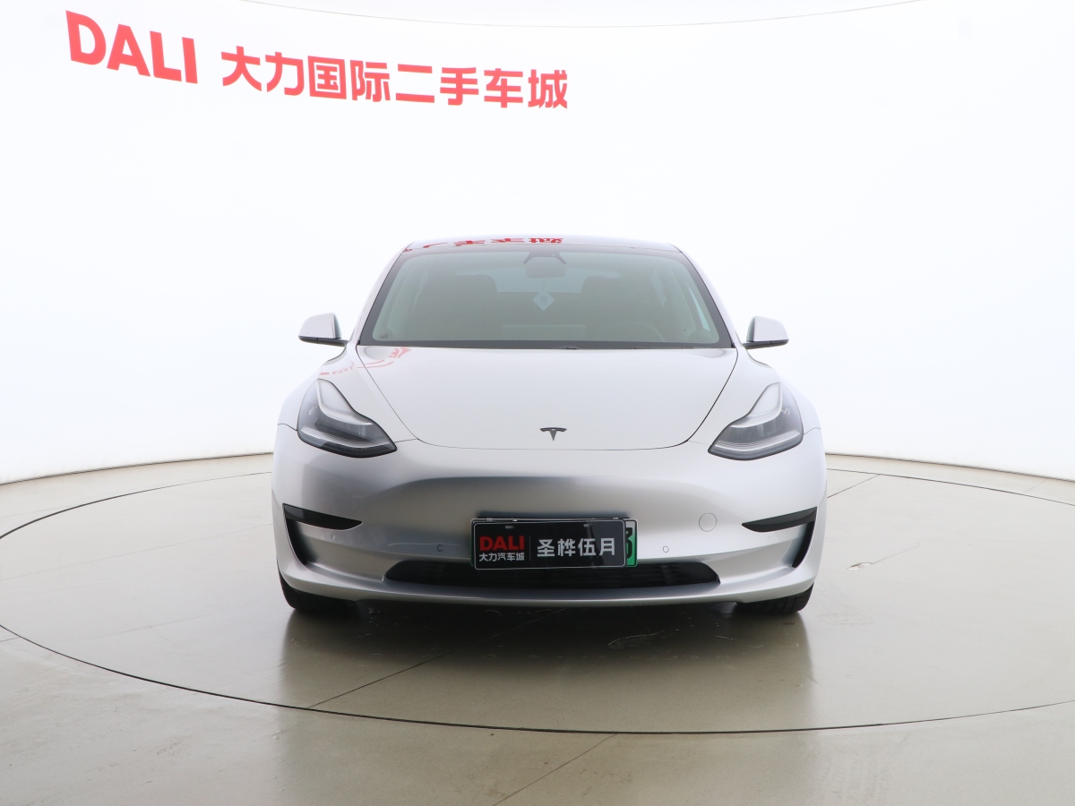 特斯拉 Model 3  2019款 標(biāo)準(zhǔn)續(xù)航后驅(qū)升級(jí)版圖片