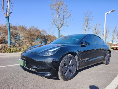 2022年1月 特斯拉 Model 3 改款 后轮驱动版图片