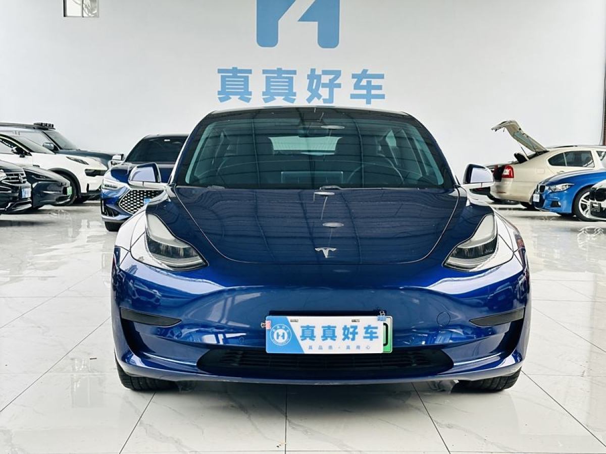 特斯拉 Model 3  2019款 標(biāo)準(zhǔn)續(xù)航后驅(qū)升級(jí)版圖片