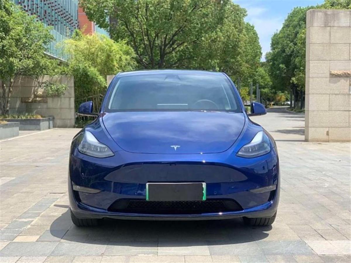 特斯拉 Model Y  2021款 改款 標準續(xù)航后驅(qū)升級版圖片