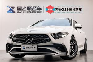 2024年4月奔馳CLS 23款 改款 CLS 300 動感型