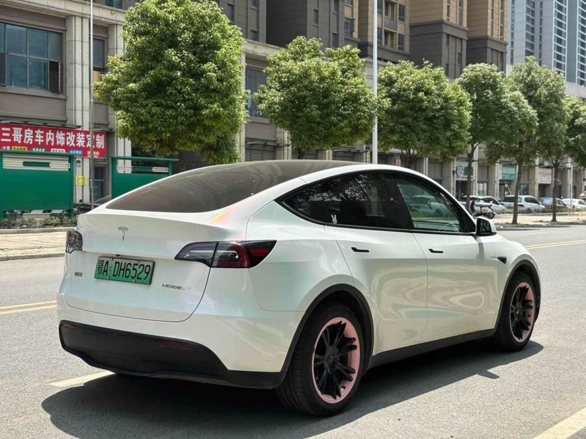 特斯拉 Model Y  2021款 長續(xù)航全輪驅(qū)動版 3D7圖片