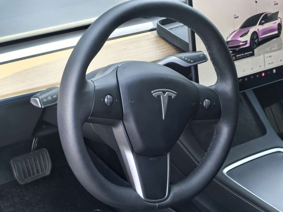 特斯拉 Model 3  2019款 標準續(xù)航后驅(qū)升級版圖片