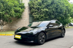 Model 3 特斯拉 標(biāo)準(zhǔn)續(xù)航后驅(qū)升級(jí)版 3D6